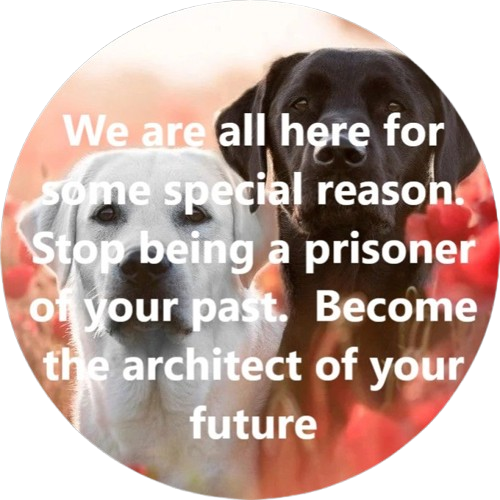 Architect of your Future